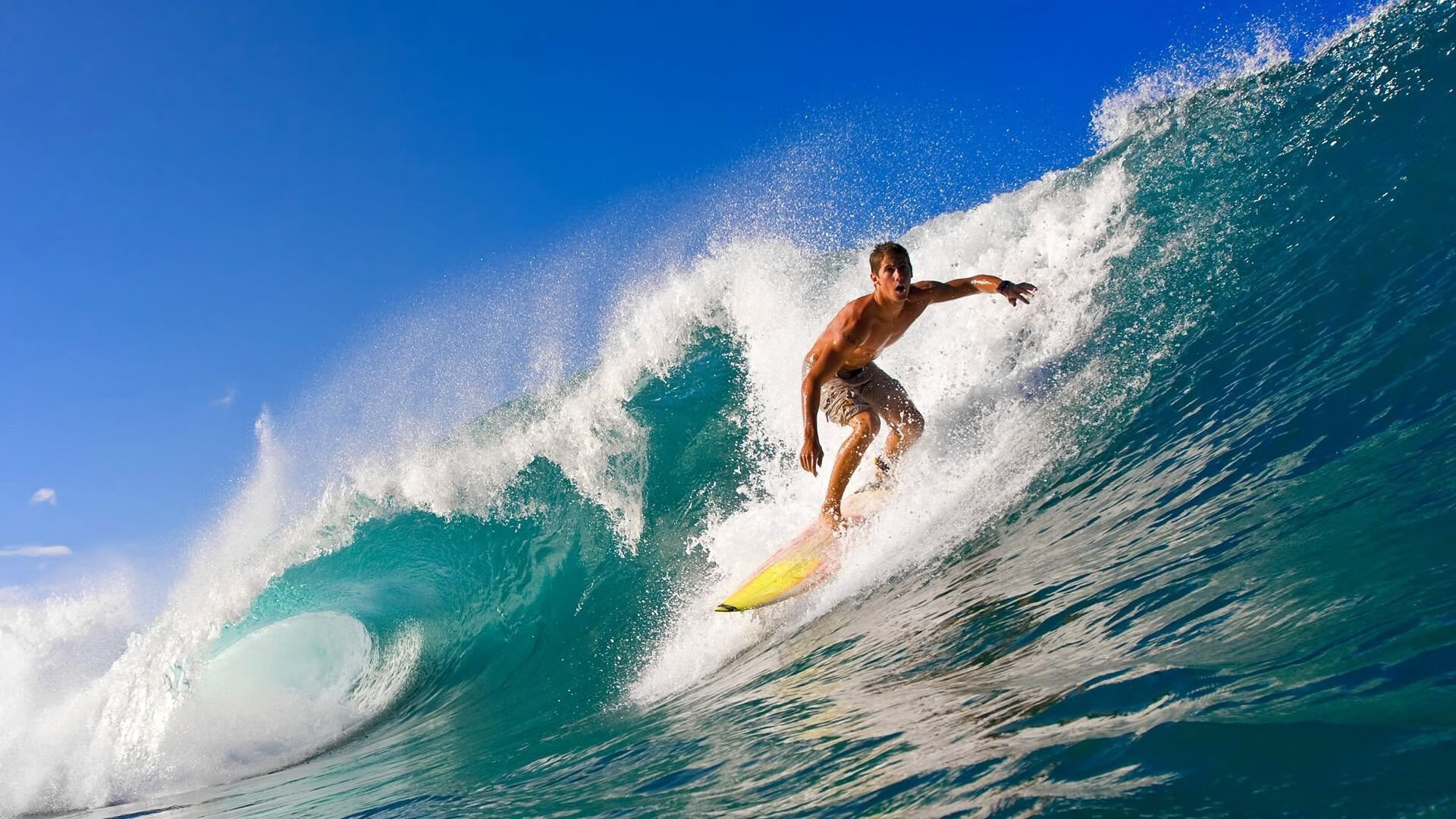 全球体育赛事最新新闻汇总